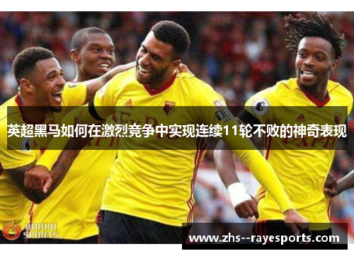 英超黑马如何在激烈竞争中实现连续11轮不败的神奇表现 英超黑马如何在激烈竞争中实现连续11轮不败的神奇表现