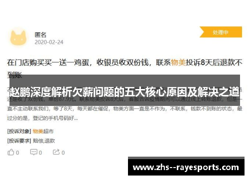 赵鹏深度解析欠薪问题的五大核心原因及解决之道